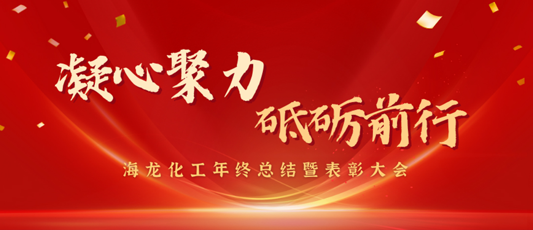 表彰 | 凝心聚力，砥礪前行，海龍化工年終總結(jié)暨表彰大會(huì)圓滿(mǎn)舉行