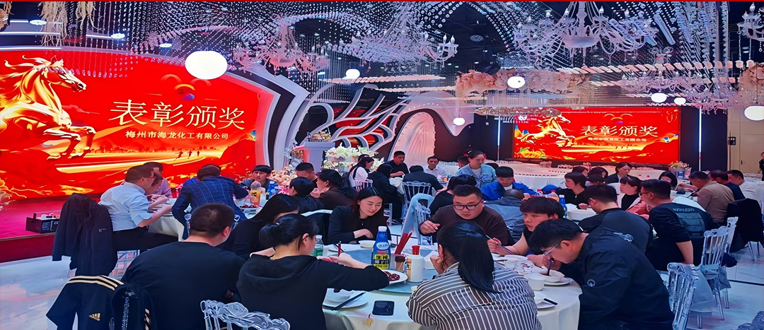 騏驥開道，奮進(jìn)新篇 | 海龍化工2025年終工作總結(jié)表彰暨團(tuán)年晚宴圓滿落幕